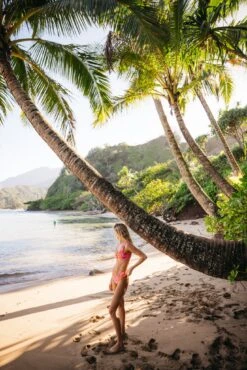 Mandi Bottom - Acai -Coastal Tropic 240118 skatie 8122 035be188 68be 4ac4 8c99 f94aec2d1deb