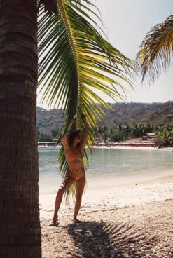 Ella Top - Picante 22 Ella Top - Picante -Coastal Tropic amad664 080 d4a466aa 2dd7 4bfd 9369 2d123c2152e5