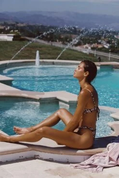 Suzanne Bottom - Dawn -Coastal Tropic amad683 491 fa06433f 20d1 445c 9c15 7b3f8480f1f0